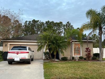 Mulberry Branch Ct for Sale