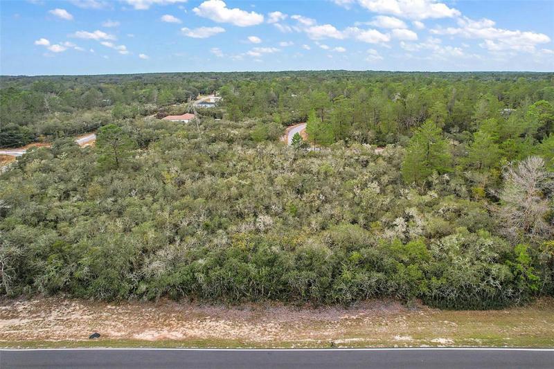 TBD FISHER ROAD, OCKLAWAHA, FL 32179 Land For Sale  MLS# G5076040