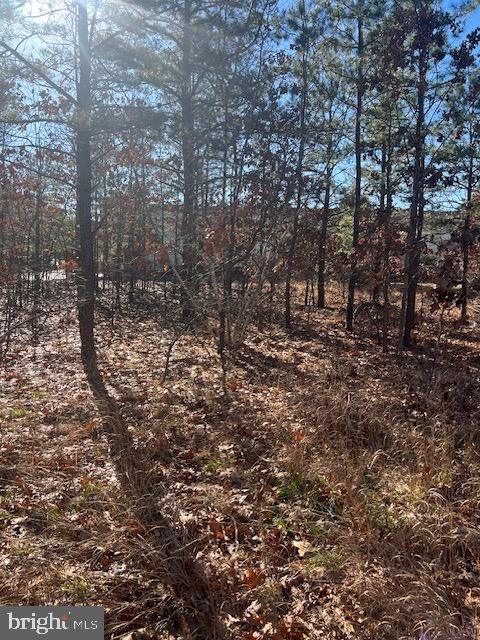 Lakehurst, Ocean County, NJ Undeveloped Land, Homesites for sale Property ID: 418555730