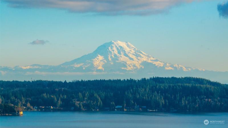 14817 90th Street Northwest, Lakebay, WA 98349 for Sale