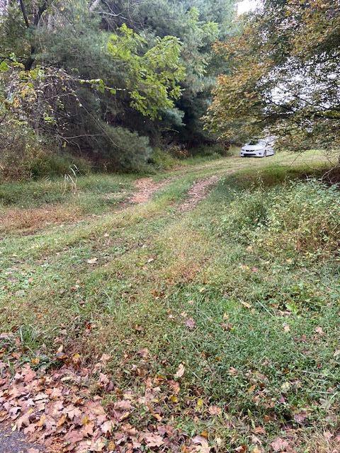0 DAVIS ROAD, Campbellsville, KY 42718 Land For Sale  MLS# 24000719