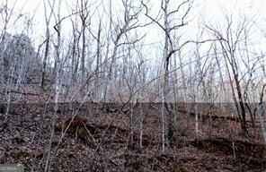 3051 GROUSE GAP DR, Big Canoe, GA 30143 Land For Sale  MLS# 10235801 for Rent