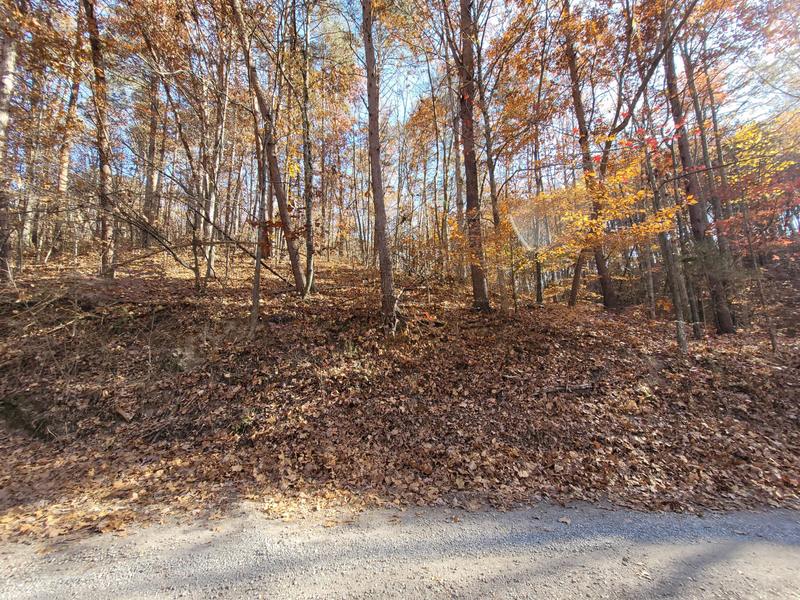 0 Northwest Blackburn Hollow Road Northwest, Unit 100 ACRES /, Cleveland, TN 37312 for Sale