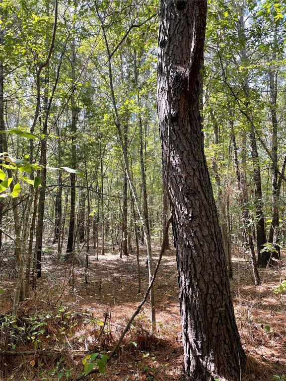 T3 County Rd 3011, New Boston, TX 75570 for Sale