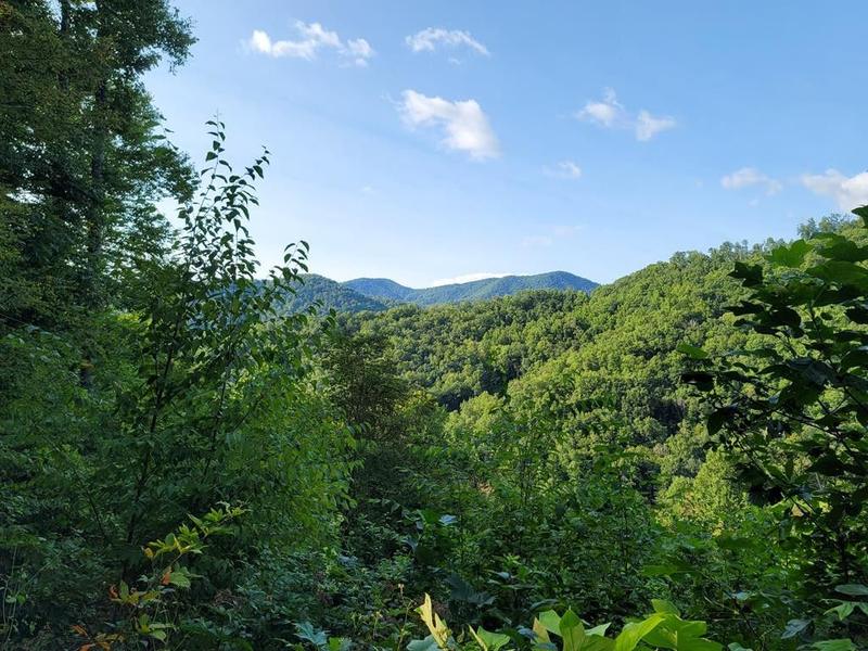 Franklin, Macon County, NC Undeveloped Land for sale Property ID: 418791728
