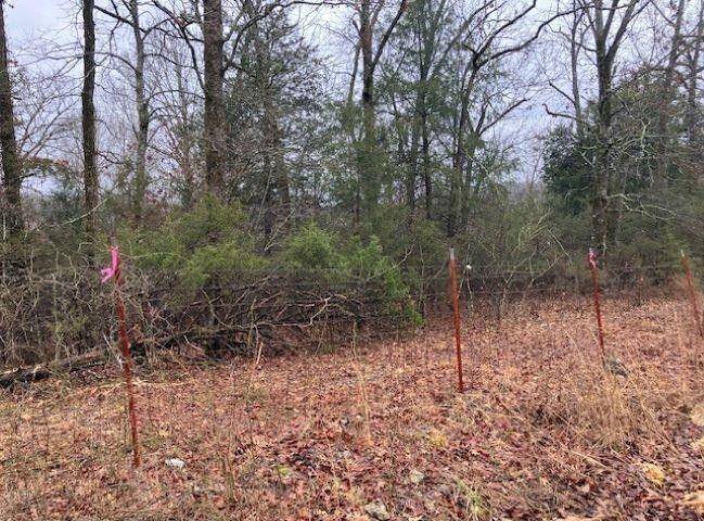 Williford, Sharp County, AR Undeveloped Land, Homesites for sale Property ID: 418903662