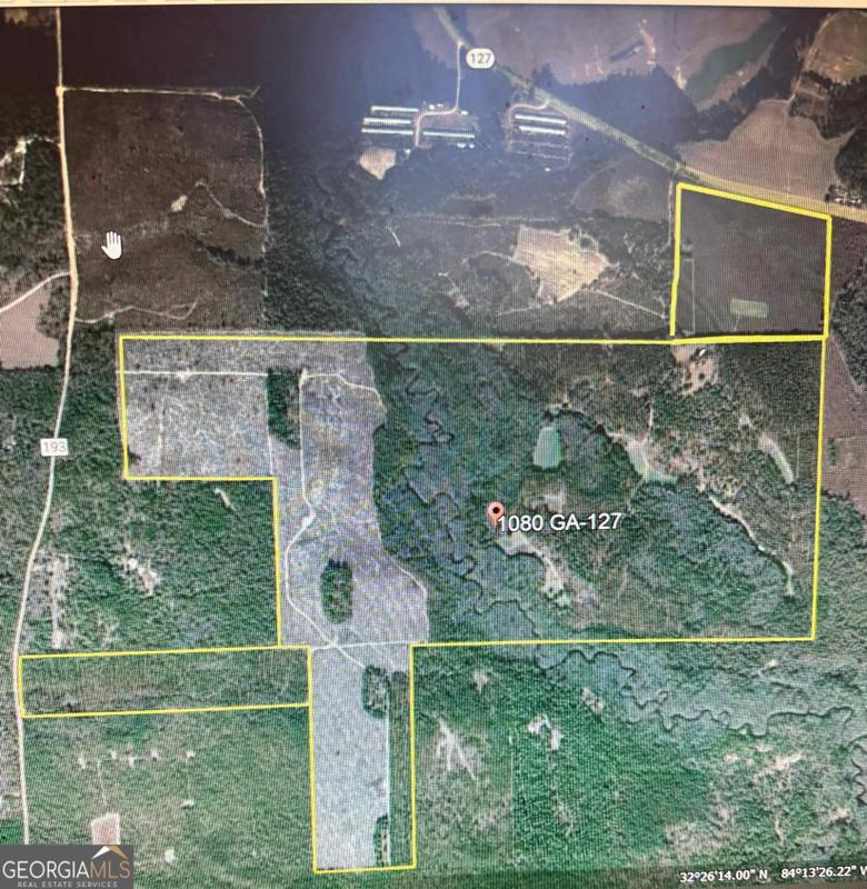 1080 Highway 127, Butler, GA 31006 for Sale