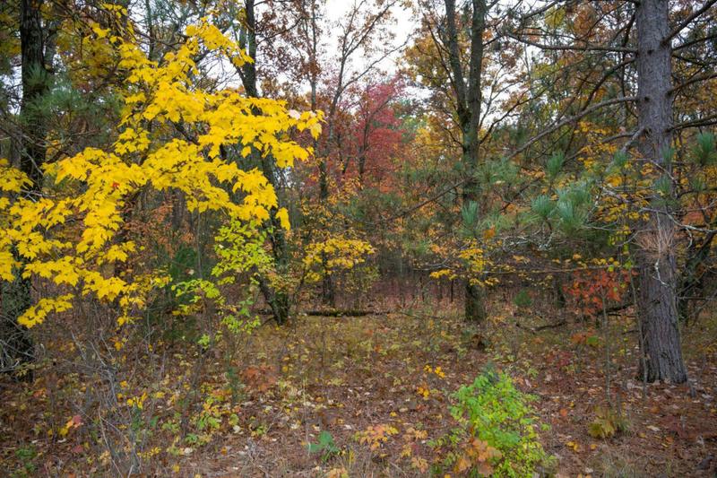 LOT 17 FAWN DRIVE, Grand Marsh, WI 53936 Land For Sale  MLS# 1966594 for Rent