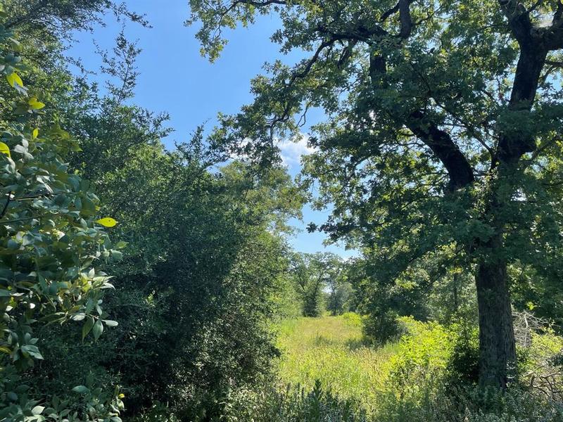 15154 County Rd 224, Oakwood, TX 75855 for Sale