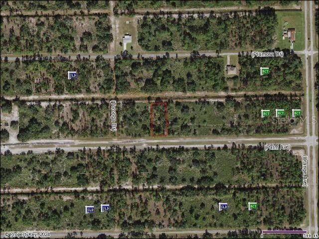 Indian Lake Estates, Polk County, FL Undeveloped Land, Homesites for sale Property ID: 418876639