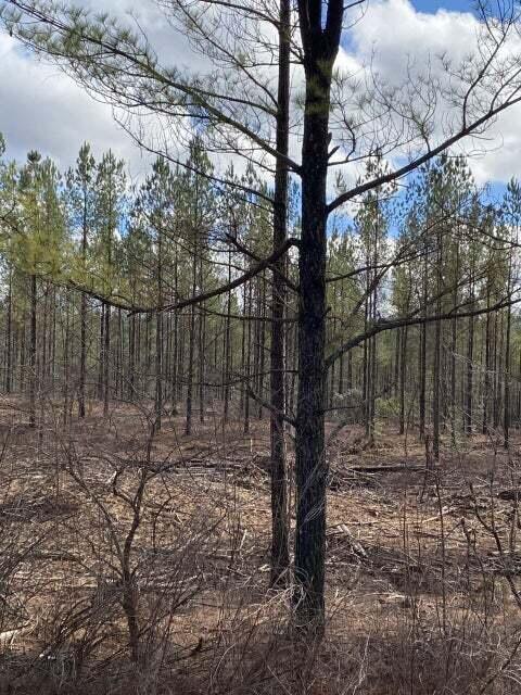 Lot 4 Thomas Springs Road, Unit LOT 4, Crossville, TN 38572 for Sale