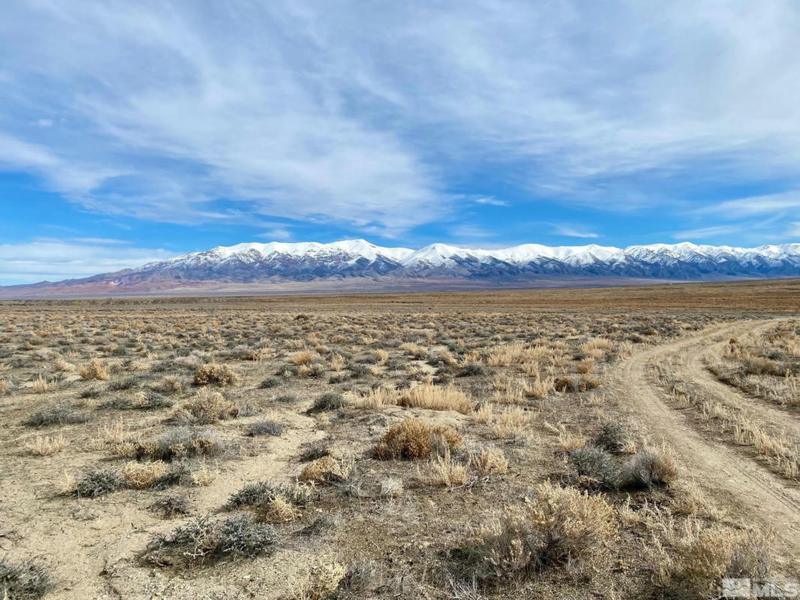00234001 POKER BROWN GAP RD, Lovelock, NV 89419 Land For Sale  MLS# 240001283
