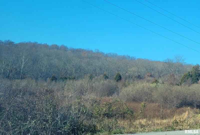 000 S US HWY 34 HIGHWAY, Herod, IL 62947 Land For Sale  MLS# EB451509