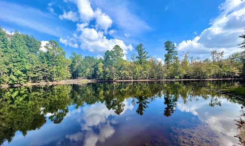 Wrightsville, Johnson County, GA Recreational Property, Undeveloped Land for sale Property ID: 418689006