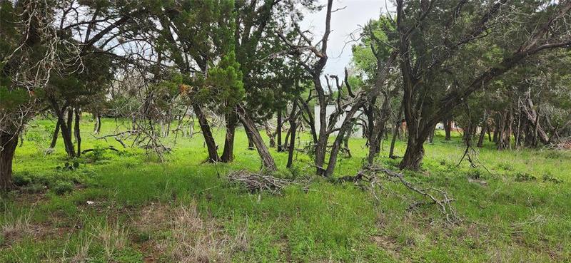 1607 Center Point Ln, Austin, TX 78734 for Sale
