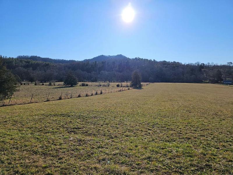 467 HIGHWAY 107 S, Del Rio, TN 37727 Farm For Sale  MLS# 268213
