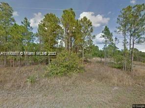 203 Horse Club Ave, Clewiston, FL 33440  MLS# A11493057 for Sale