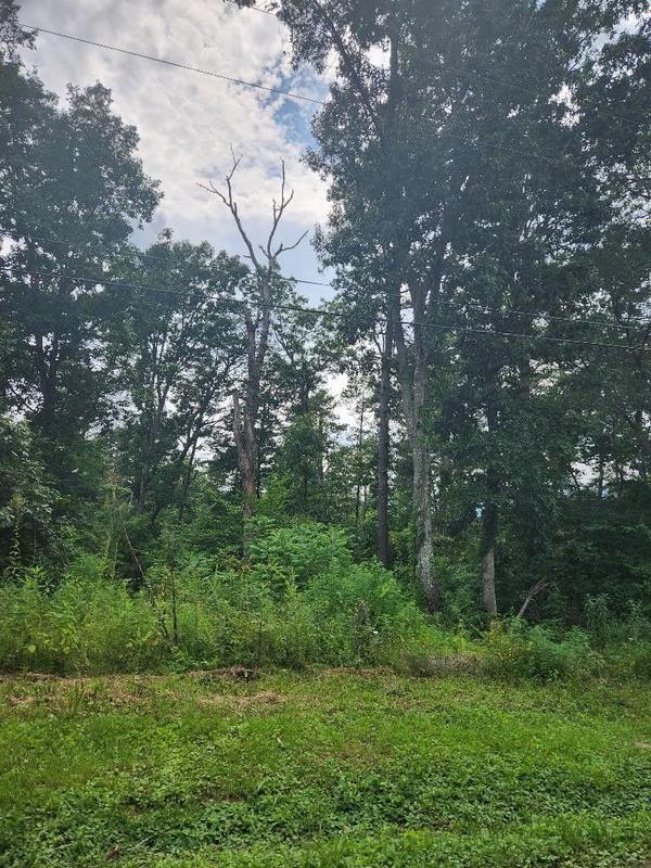 Dunlap, Sequatchie County, TN Homesites for sale Property ID: 418685060