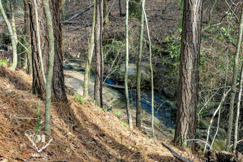 Roebuck, Spartanburg County, SC Recreational Property, Hunting Property for sale Property ID: 418756506