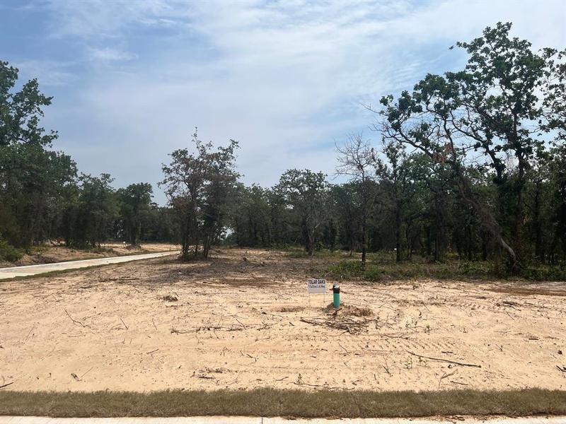 436 Peace Lily Way, Tolar, TX 76476 for Sale