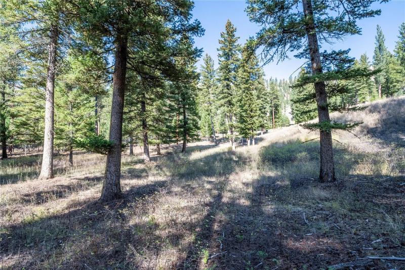 Clinton, Missoula County, MT Undeveloped Land, Homesites for sale Property ID: 417069463