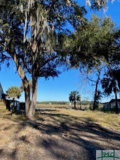 Midway, Liberty County, GA Undeveloped Land, Lakefront Property, Waterfront Property, Homesites for sale Property ID: 418607029