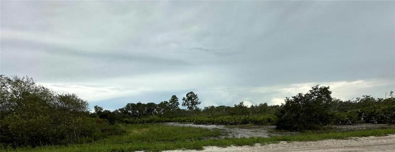 2125 SW ANDERSON RD, AVON PARK, FL 33825 Land For Sale  MLS# L4938734
