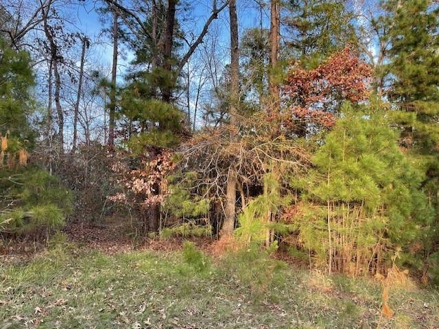 TBD Spring Creek Ln, Coldspring, TX 77331 for Sale