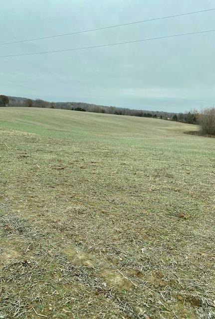 267 COUNTY RD. Puxico, MO 63960 Farm For Sale  MLS# 23054870