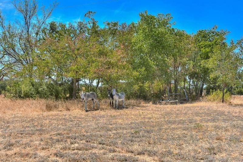 Killeen, Burnet County, TX Undeveloped Land, House for sale Property ID: 417417330