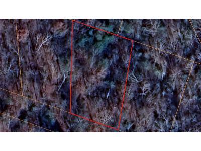 Wren 1 Cir for Sale
