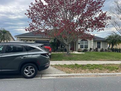 Sawgrass Creek Cir for Sale