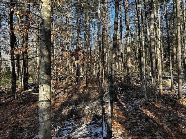 Belgrade, Kennebec County, ME Undeveloped Land for sale Property ID: 418682937