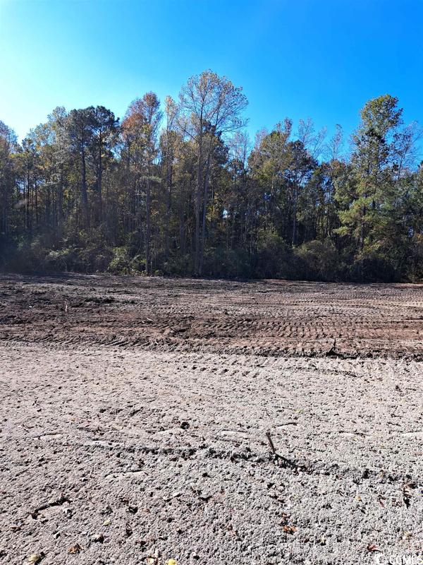 2966 B Highway, Conway, SC 29526 for Sale