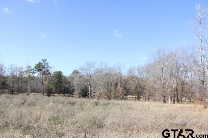 885 Stone Chimney Rd (Lot 8, CR 3608), Bullard, TX 75757 for Sale