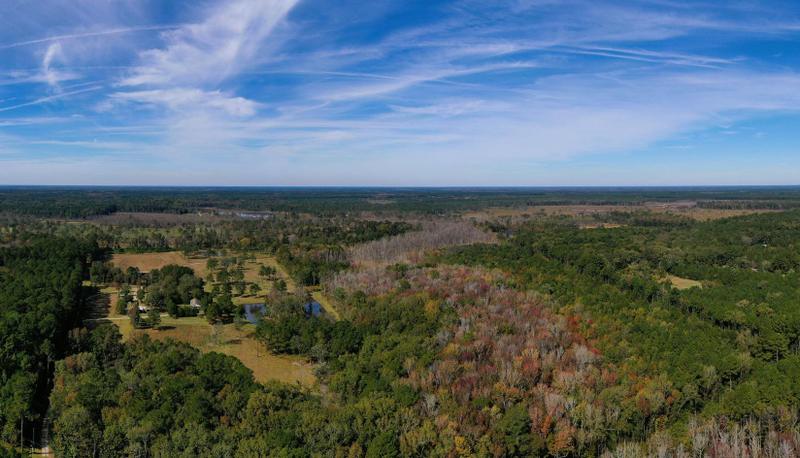 Adams Run, Charleston County, SC House for sale Property ID: 418118806