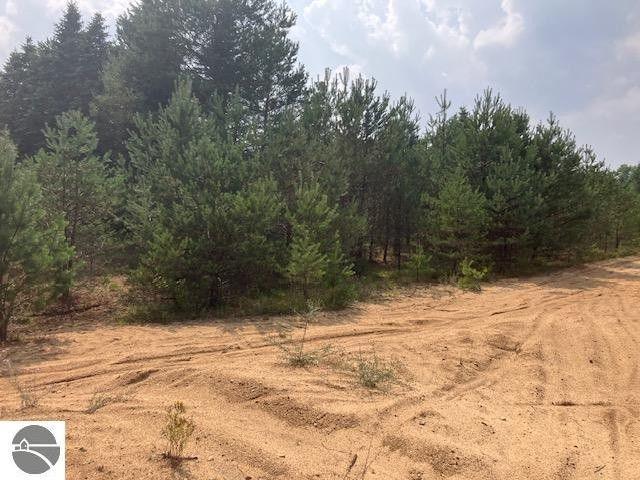 Buckley, Wexford County, MI Undeveloped Land for sale Property ID: 418355618