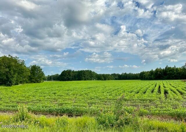 Tabor City, Columbus County, NC Undeveloped Land, Homesites for sale Property ID: 417353072
