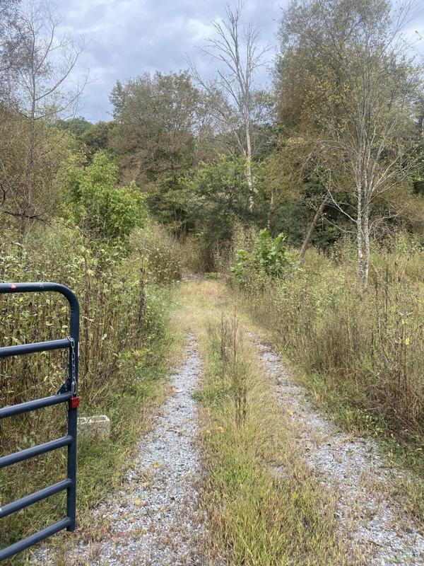 Riceville, Mc Minn County, TN for sale Property ID: 417944099