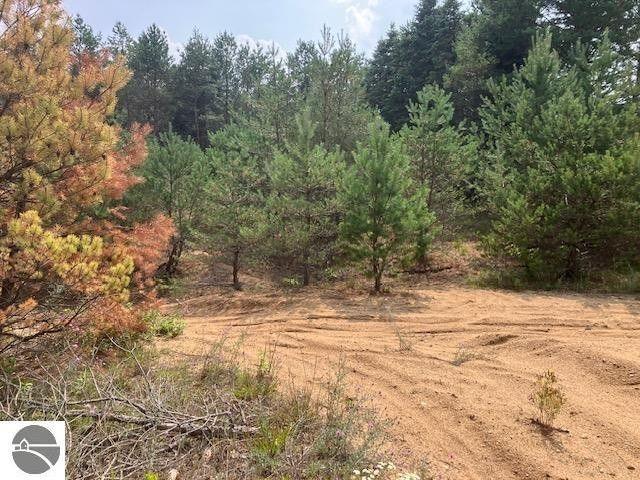 Buckley, Wexford County, MI Undeveloped Land for sale Property ID: 418355617