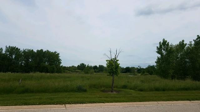 19998 West Old Meadow Trail, Long Grove, IL 60047 for Sale