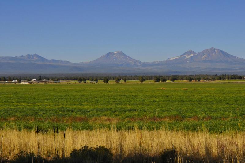 68755 FRYREAR RD, Sisters, OR 97759 Land For Sale  MLS# 220154409