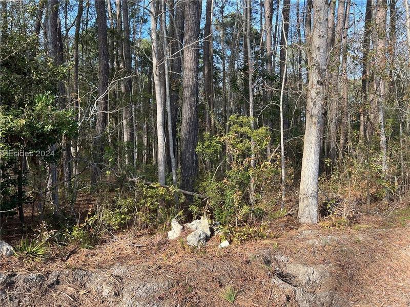 0 Stiney Road, Hardeeville, SC 29927 for Sale