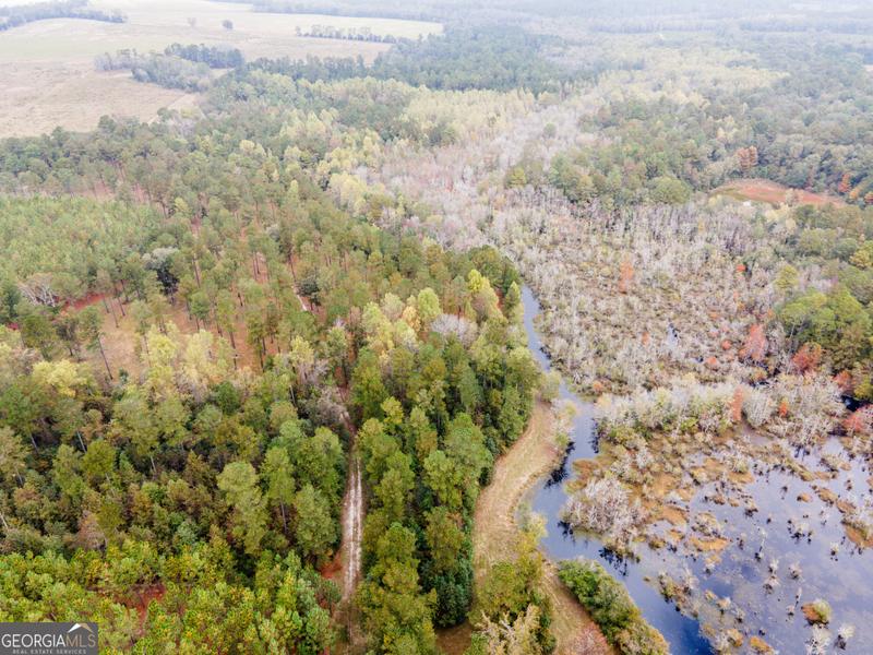 1249 Lotts Creek Road, Statesboro, GA 30458 for Sale