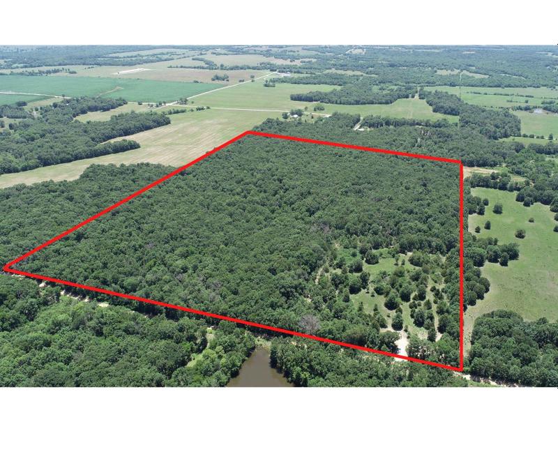 Jerico Springs, Cedar County, MO Recreational Property, Timberland Property, Hunting Property for sale Property ID: 416765286