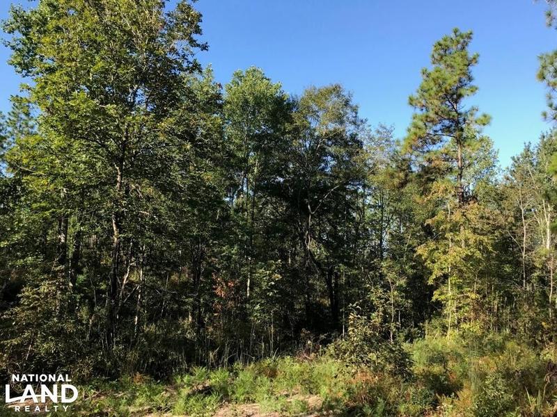 Purvis, Lamar County, MS Timberland Property, Hunting Property for sale Property ID: 335807871