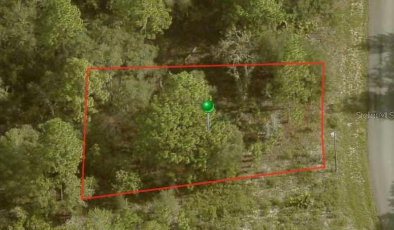 6692 N Buckskin Dr, Citrus Springs, FL 34434 - MLS A4595527 for Sale