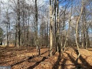 234-235 Williams Dr, Lebanon, PA 17042 - MLS PALN2012600 for Sale