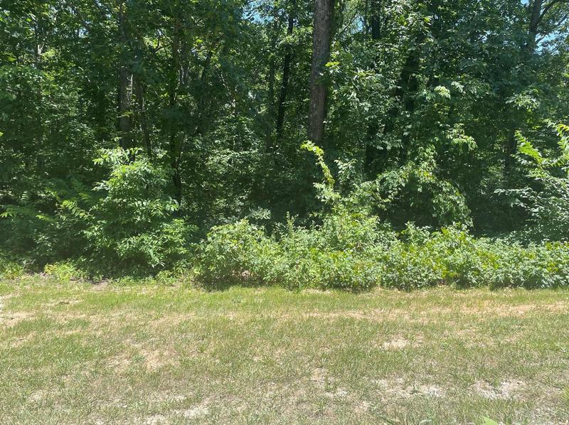 8 Huntington Hills, Warrenton, MO 63383 - MLS 23008634 for Sale