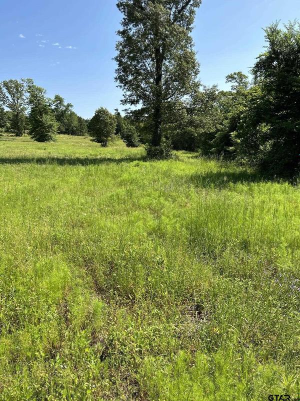 TBD Ridgeline Lp, Winona, TX 75792 for Sale